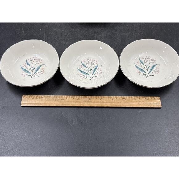 Alliance China Co. Regal Hand Decorated China Set - Platinum Rim -Chip on Saucer - Picture 5 of 16